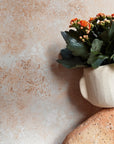 Nova | Plant Pot 01 | Sandstone