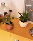 Nova | Plant Pot 01 | Sandstone
