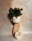Nova | Plant Pot 01 | Sandstone