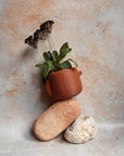 Nova | Plant Pot 01 | Burnt Ochre