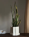 Amanitas Garden | Plant Pot 01 | Sandstone