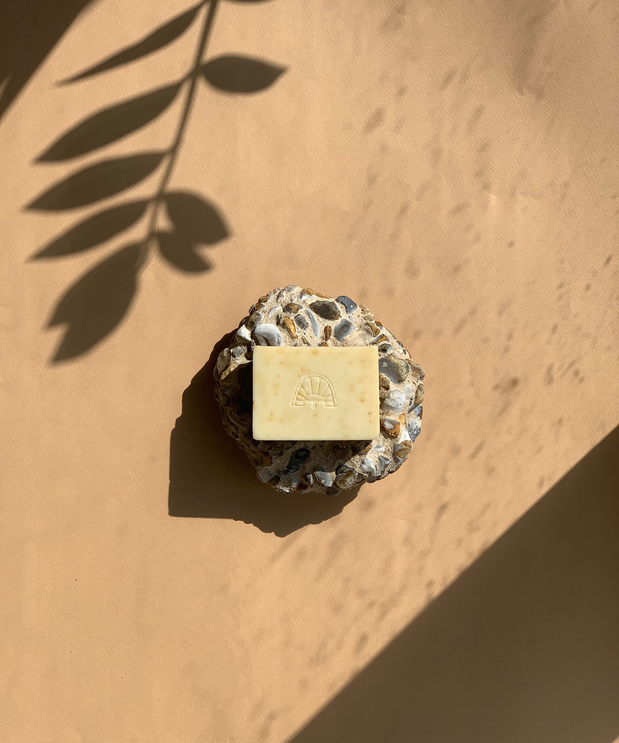 Natural Soap Bar – Amanita Labs