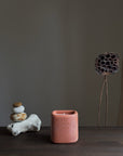 Naso Series | Kyu Candle | Burnt Ochre