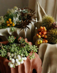 Kora | Watering Jug - Vase | Burnt Ochre